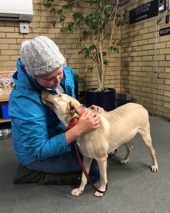 Ni&ntilde;a, con, perrito 