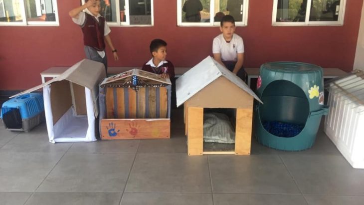 Ni&ntilde;os con casas de madera 