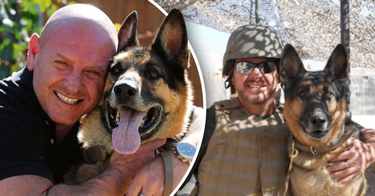 War Dog se reencuentra con Sheldon, su mejor amigo