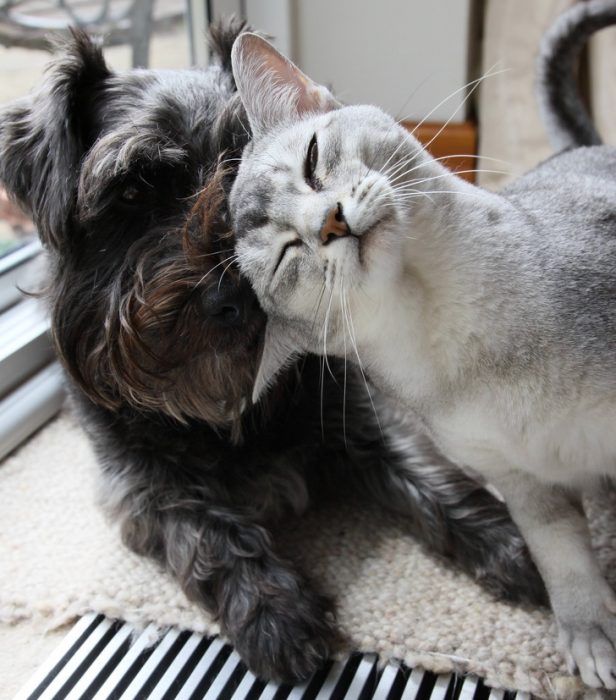 Fotos tomadas en el momento perfecto