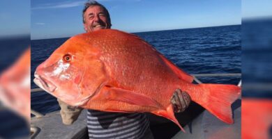 Un hombre atrapó un Kaiser rojo de 22 kilos
