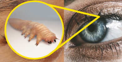 30 cosas no sabias cuerpo humano banner
