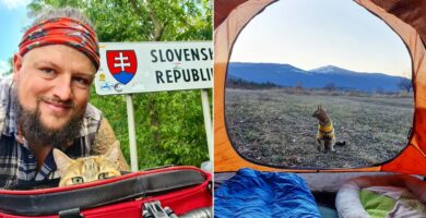 Ciclista encontró un gato y lo lleva de viaje alrededor del mundo desde entonces