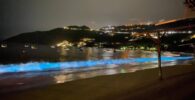 Así lucían las playas de Acapulco debido a la bioluminiscencia