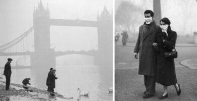 Logo Rolloid