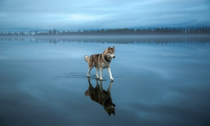 15 im&aacute;genes demuestran que la realidad supera a Photoshop 09