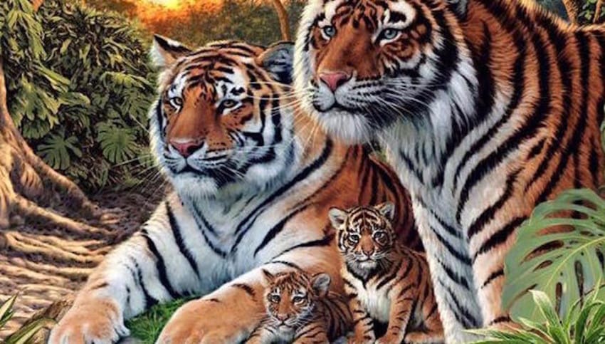 Ver los 16 tigres en la imagen es un logro que muy pocas personas pueden igualar 4 Pocas personas pueden encontrar todos los tigres en esta imagen 02