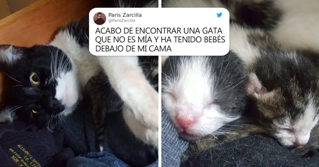 No creerás lo que este hombre encontró debajo de su cama
