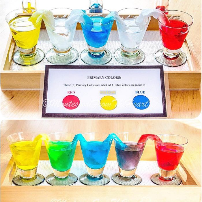 Experimento de vaso de precipitados con agua de colores y papel