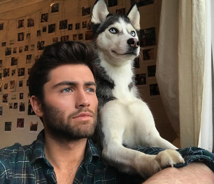 Cada perro parece el tiempo de juego viral de su dueño