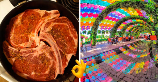 21 imágenes perfectas en las que todo estaba en armonía que te llenará de paz