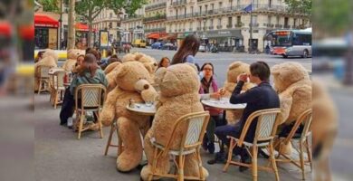 En Francia, utilizan osos de peluche para lograr el distanciamiento social