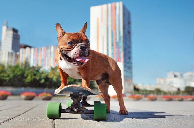 usar patineta