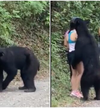 Mujer que "abraza" oso podría ser capturada y enviada a un zoológico