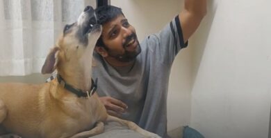 Tierno video de un perro imitando a su dueño cuando lo escucha cantar