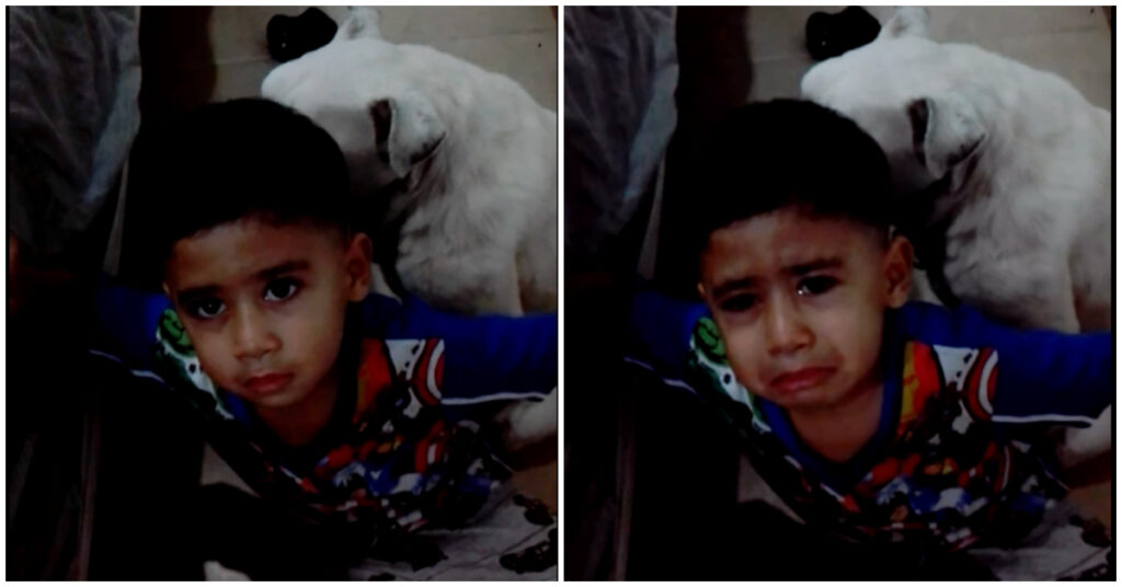 Un niño lloroso le pide a su madre que no castigue a su mascota
